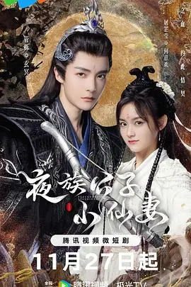 夜族公子的奇幻恋曲：与小仙妻的跨界冒险
