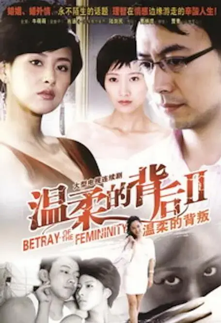 温柔的背叛 海报